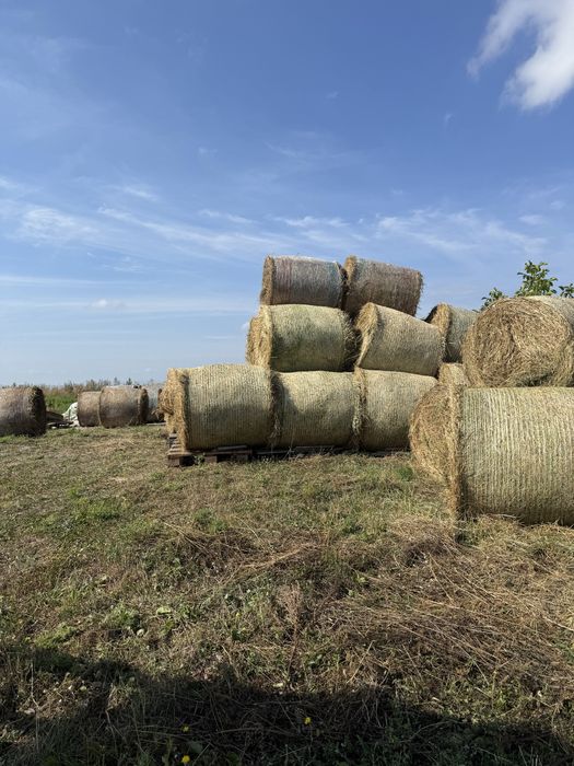 Vand baloti lucerna  rotunzi,mari