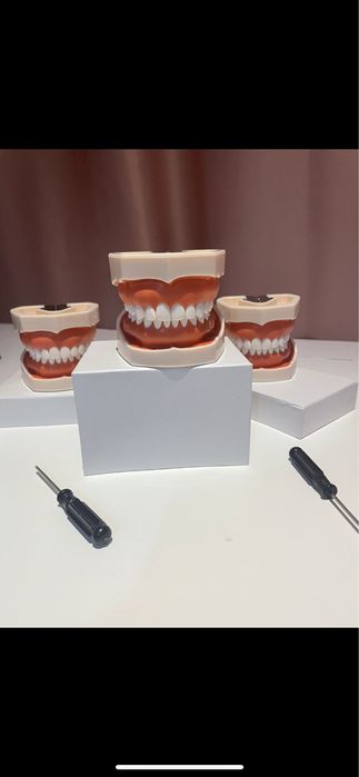 Model pentru practica otr/ocluzo/protetica.