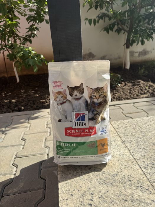 Hrana uscata pentru pisici Hill's SP Feline Kitten, Pui, 1.5kg