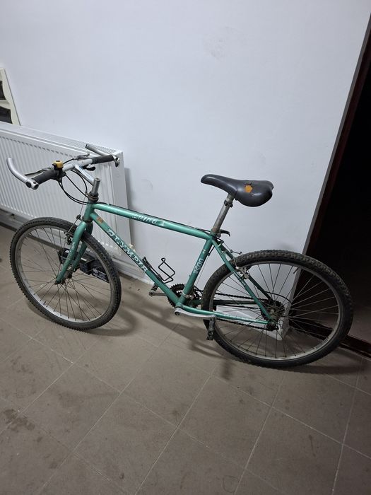 Bicicleta bicicleta