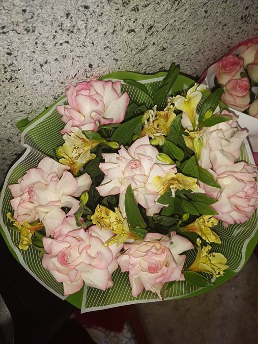 Гүлдер гарантия к