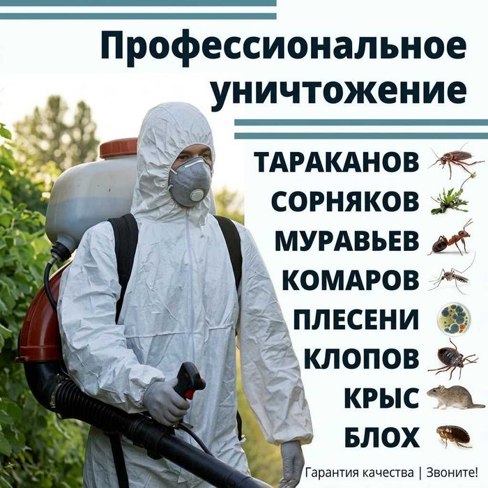 Dezinfeksiya | Дезинфекция клопов тараканов