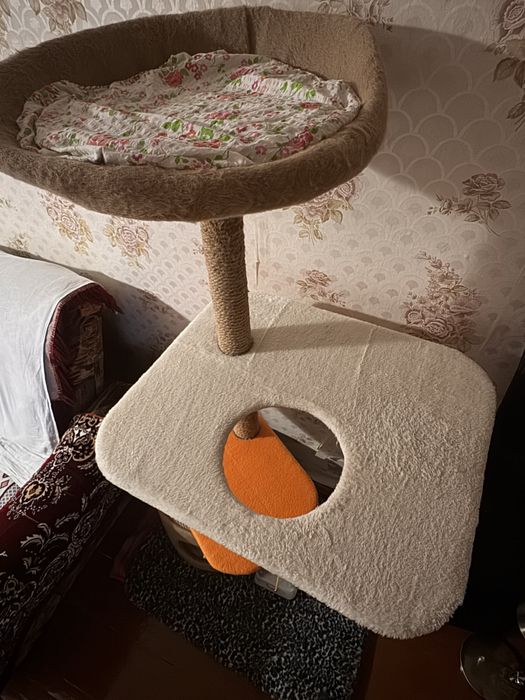 Домик для Кошки в Отличном Состоянии