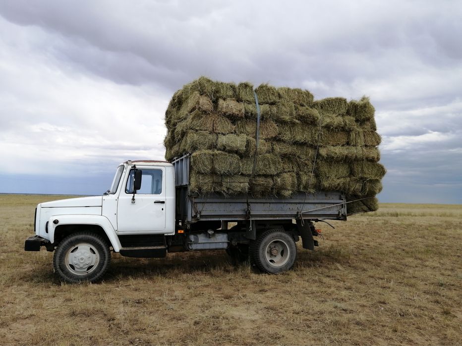 Жер сатылады