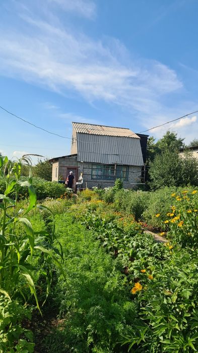 Дача С/о Алтайский энергетик