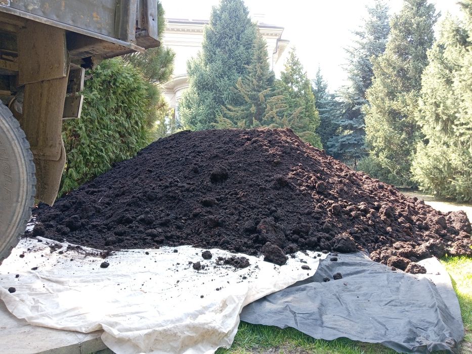 Чернозём плодароный