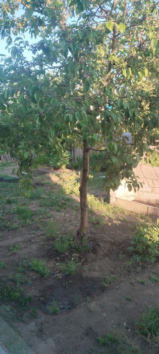 Продам частный дом.