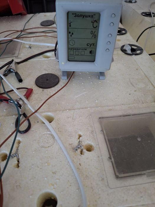 Инкубатор, золушка, несушка