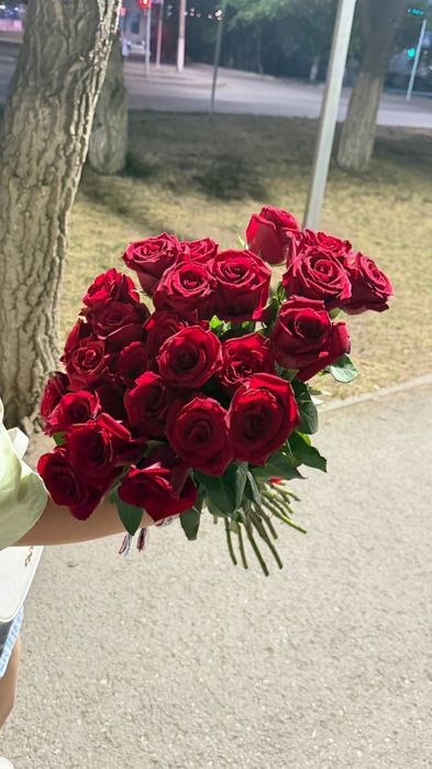Розы 27 шт караганда