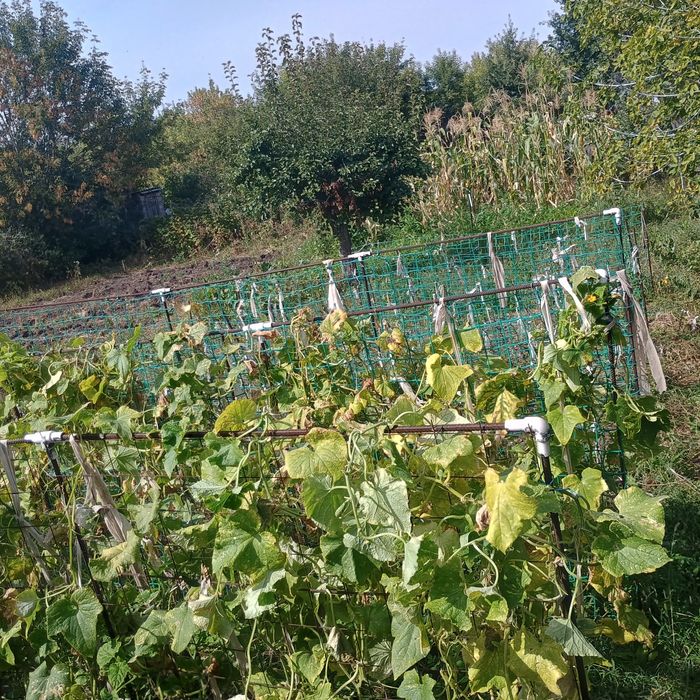 Продам дачу 19 маршрут