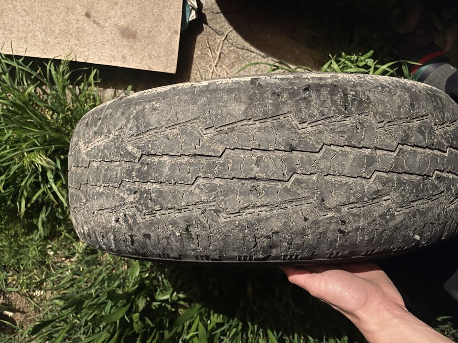 Жагдайы жаксы