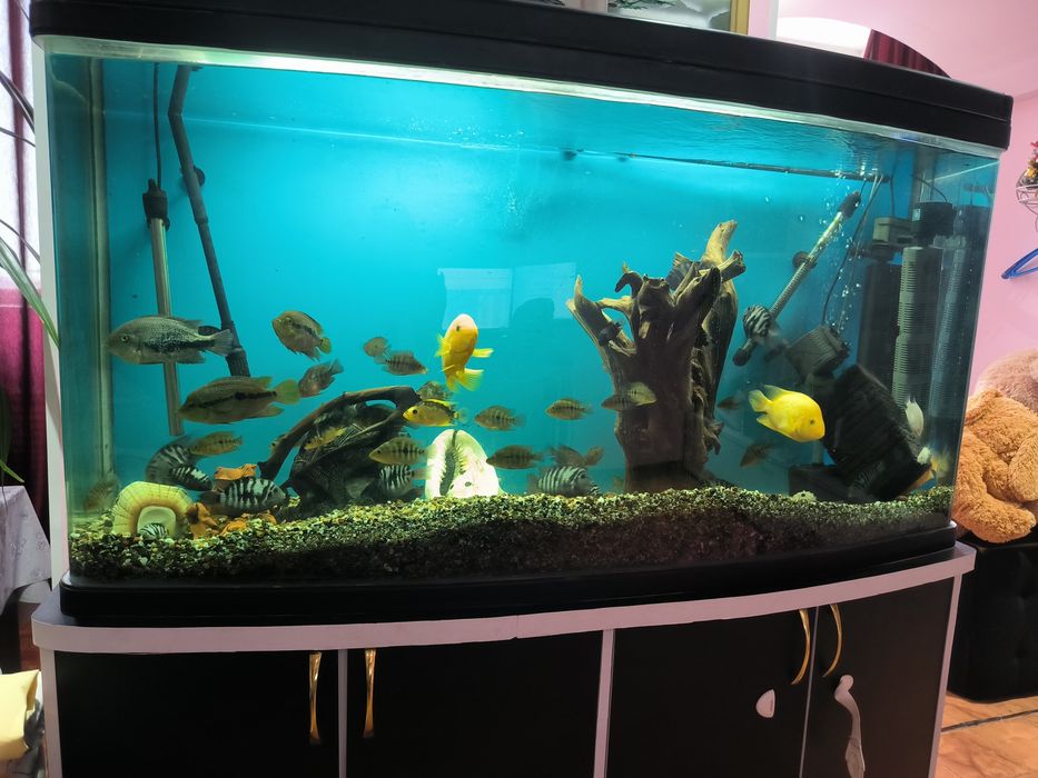 Продам аквариум с рыбками