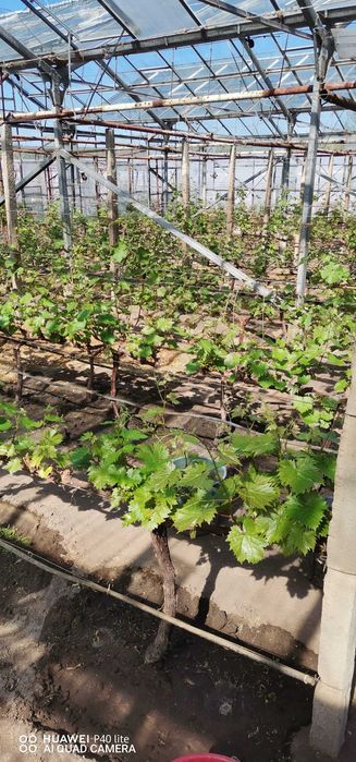 Собственик продава къща, цена 190000 евро.