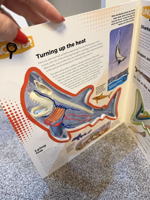 Enciclopedie rechin engleza