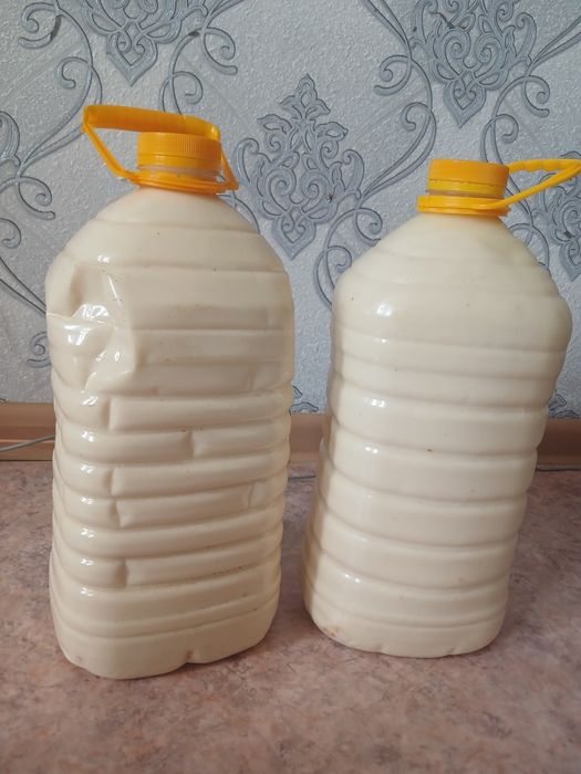 Сұйық қайнатылған құрт