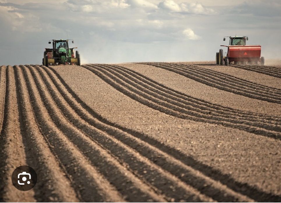Vand TEREN Agricol TĂTARU Braila