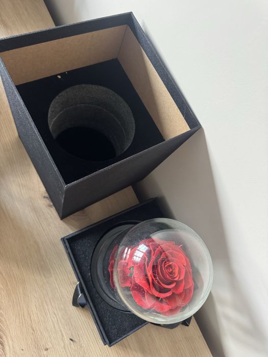 Вечна червена роза