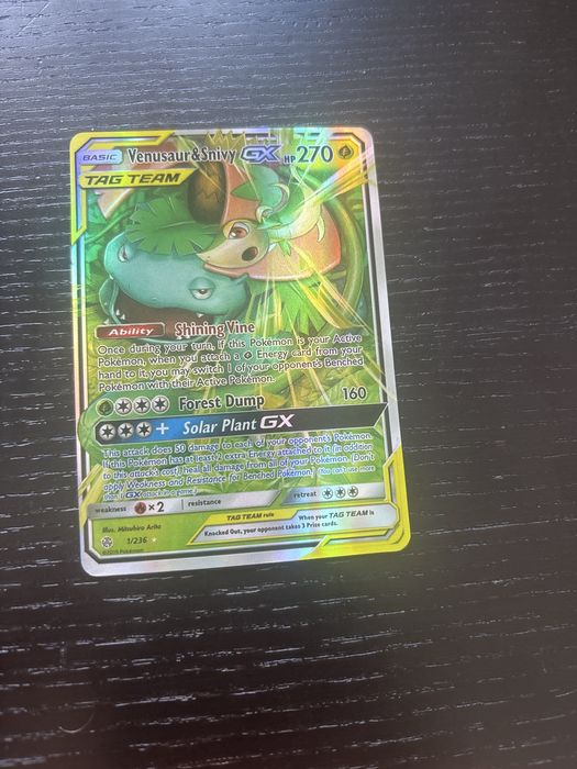Carte pokemon Venesaur&Snivy Gax