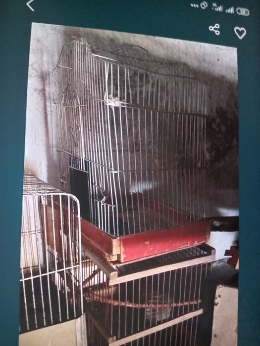 Продам клетки для птиц