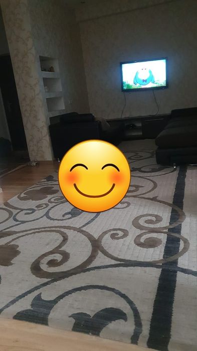 Ковер толстый 3×4