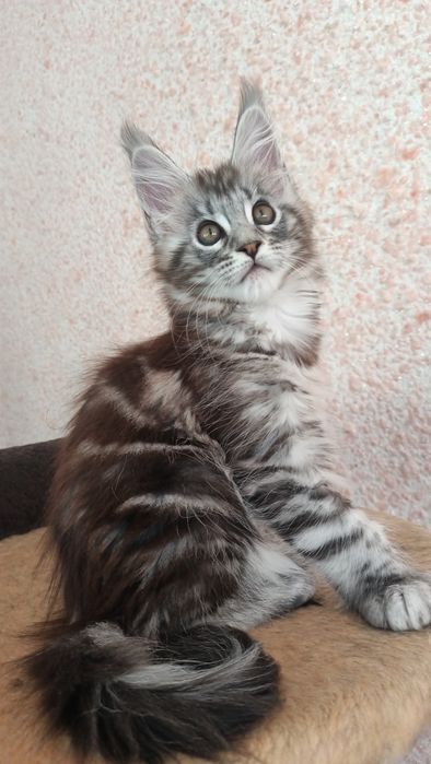 Девочка полидакт 2 месяца