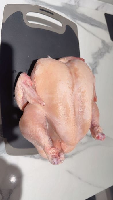 Бройлер домашний