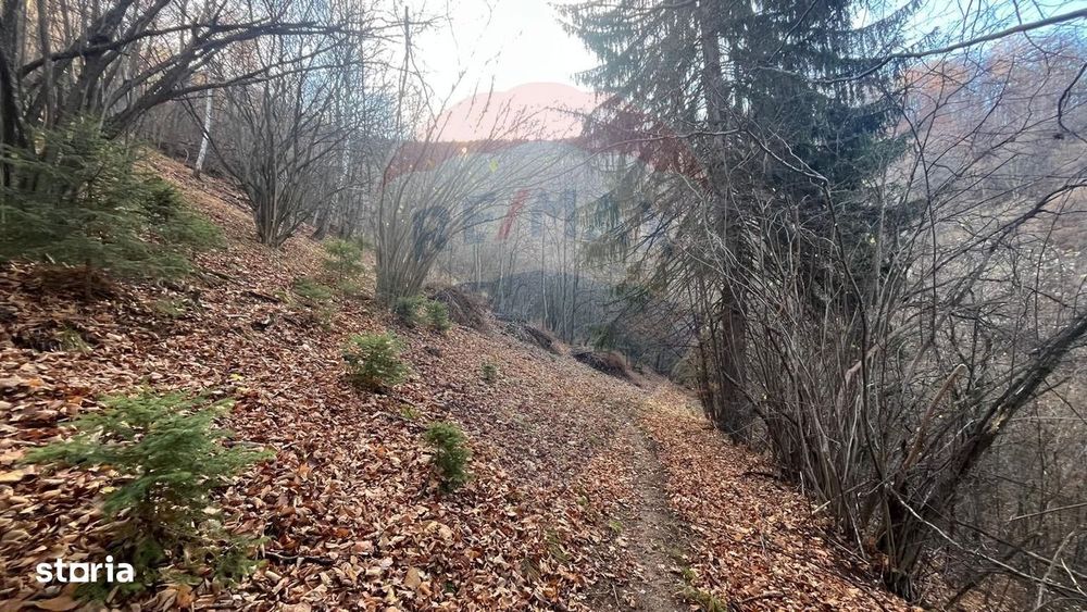Teren Colinar Panoramic – 17.684 mp în Scheii Brașovului