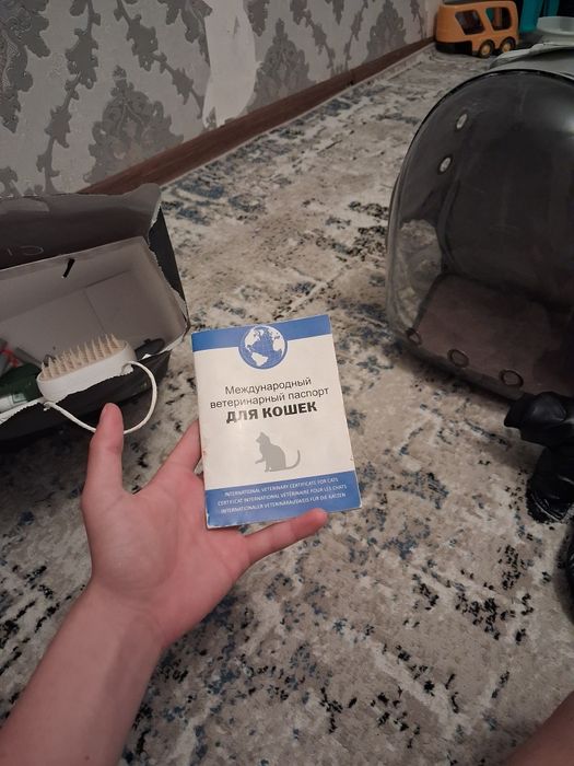 Зоти тоза 1 йош пол:мужское келшамиз