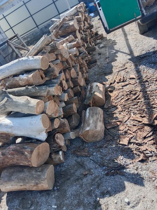 Продам дрова карагач сухой