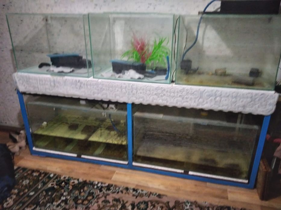 Комплект аквариумов со стойкой