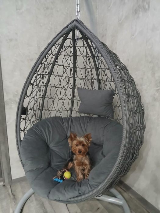 Ищу подругу для вязки