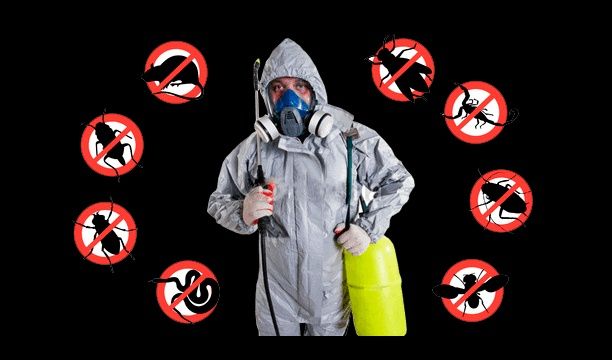 Servicii profesionale DDD – deratizare | dezinsecție | dezinfecție