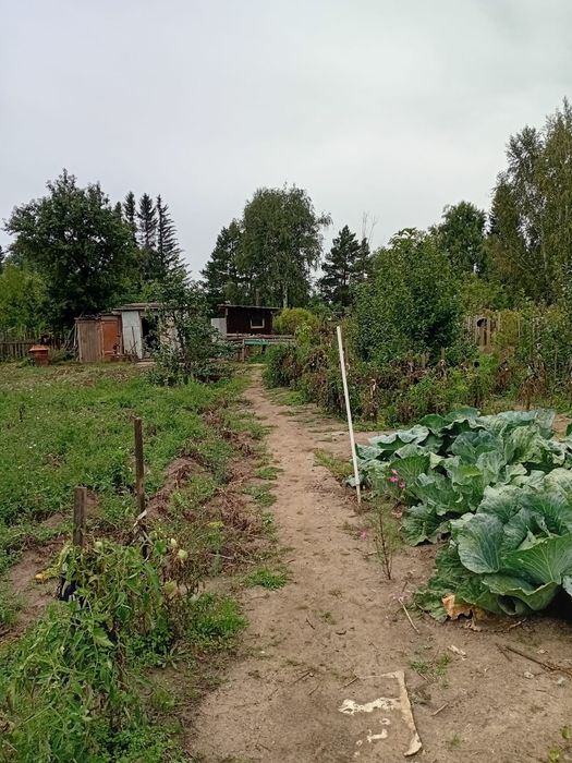 продам дачный участок
