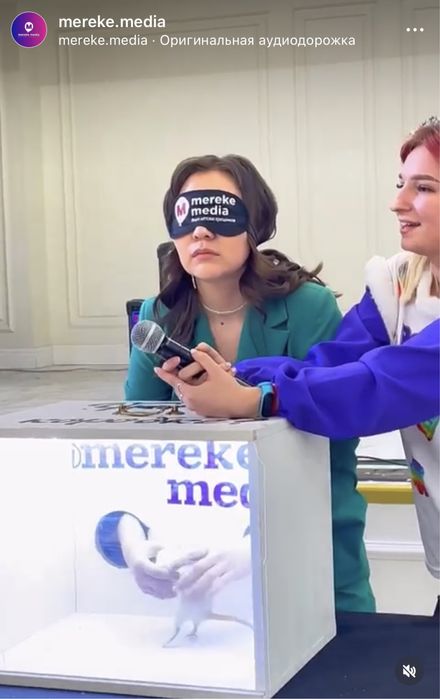 Нащупай шоу  , что в коробке?