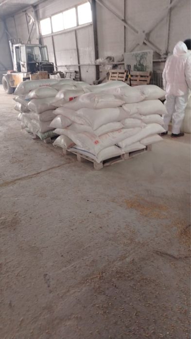 Продам ячмень дробленный