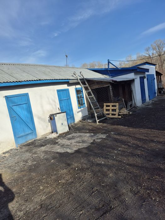 Продам дом в Согре