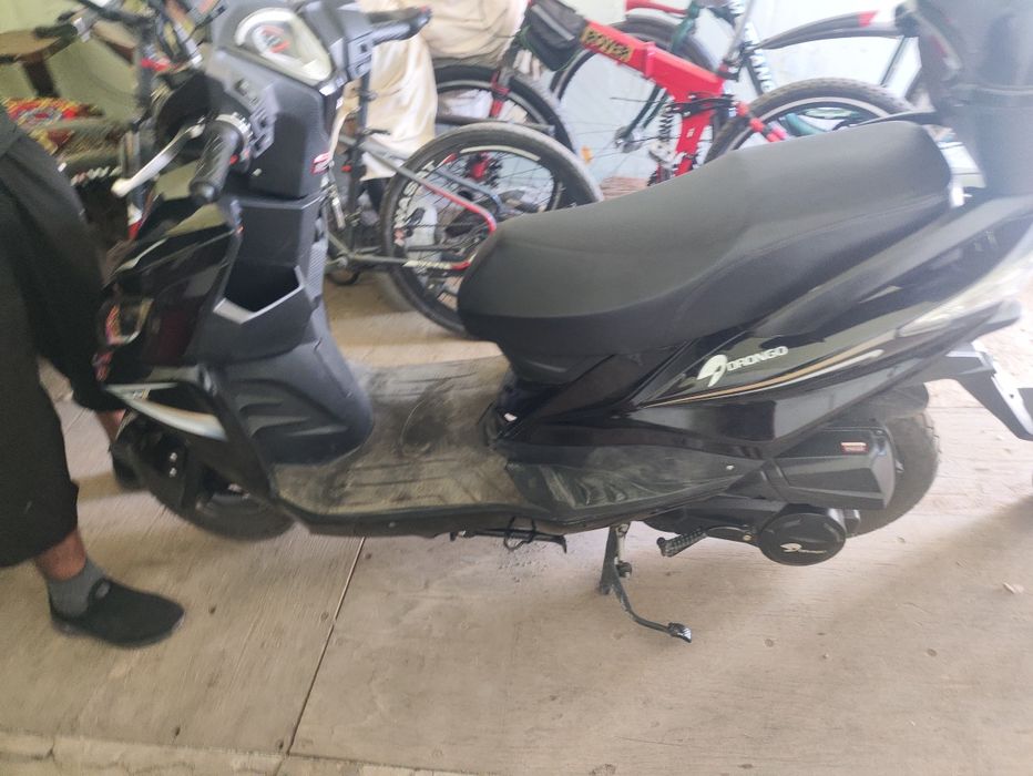 125.                    Skutor drongo