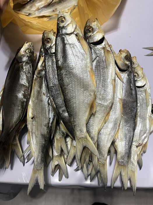 Кепкен балык сатамын