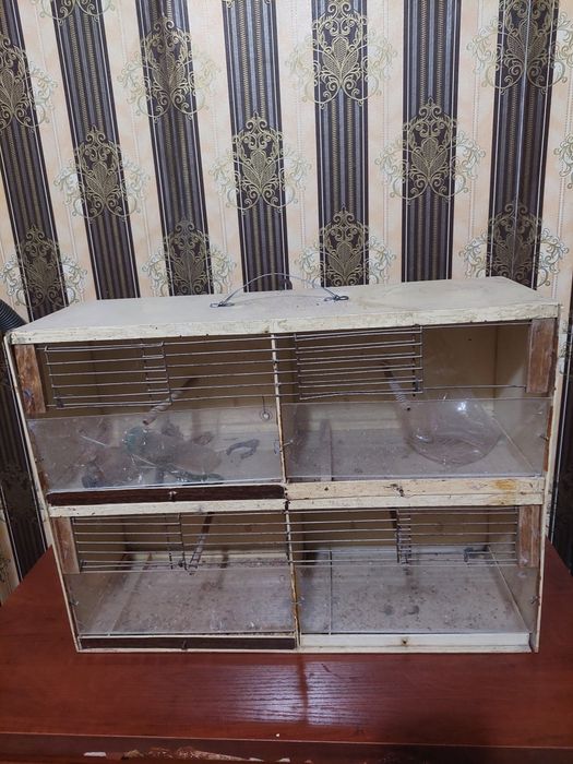 Клетки для птиц  хорошем качестве