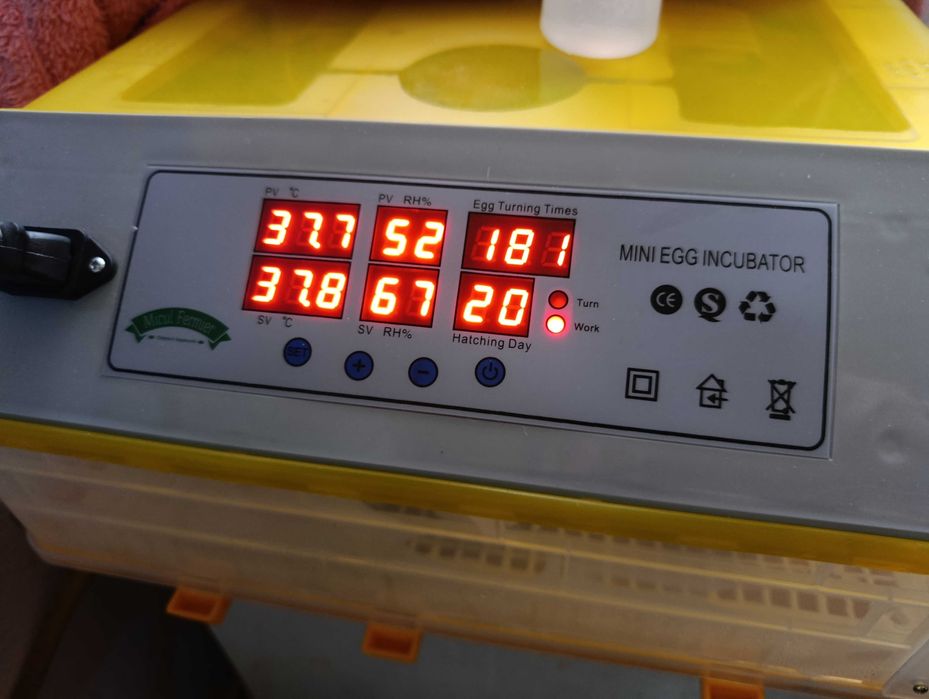 Vând incubator automat ouă găină/ prepeliță