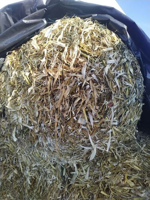 Baloti mari de ciocani și soia 120/160