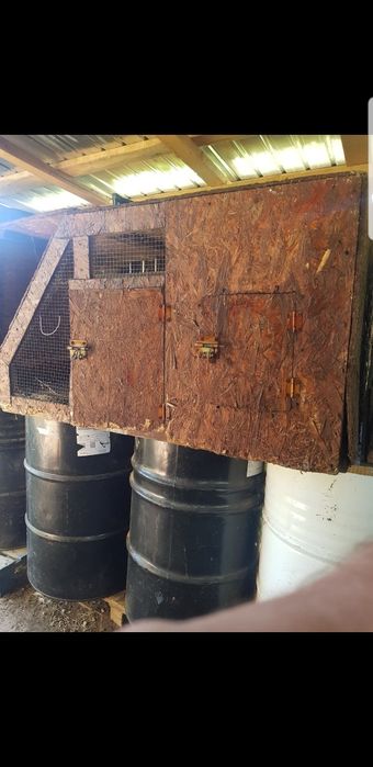 Vand cotet ptr iepuri