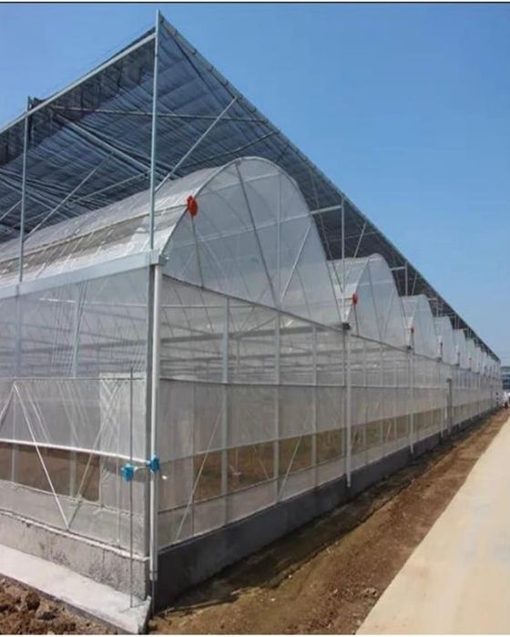 Нов Автоматизиран Оранжериен Комплекс 3 x (8x40 м) – 960 кв.м | Cooling Pads | Автоматично Управление