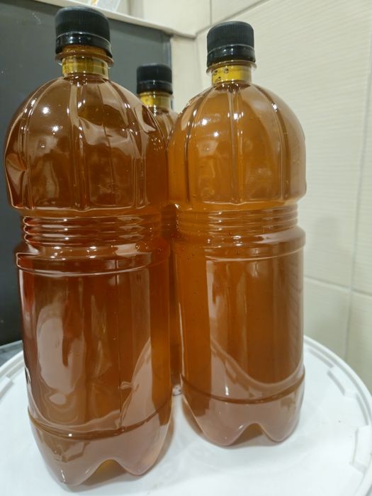 Продам свежий мед 2025