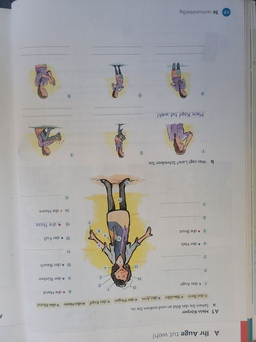 Manual limba germana Schritt fur schritt