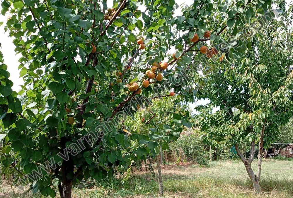 Къща на 15 км от Балчик