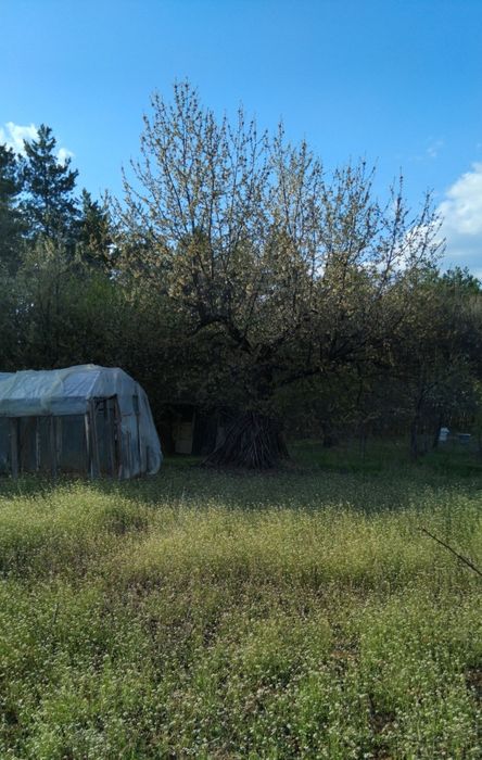 Продава къща в с.Еремия обл.Кюстендил