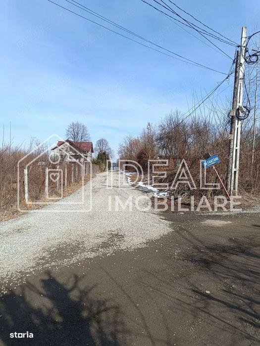 Teren 25.500 mp Valea Avrigului