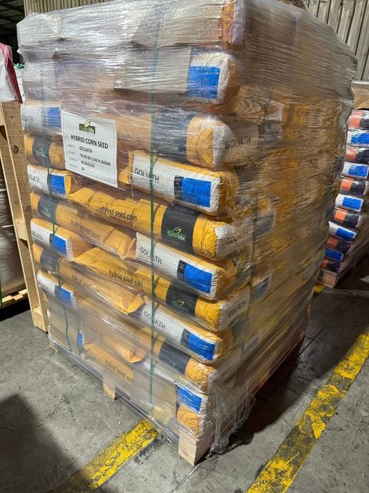 GOLIATH - Campion in Europa la porumb siloz