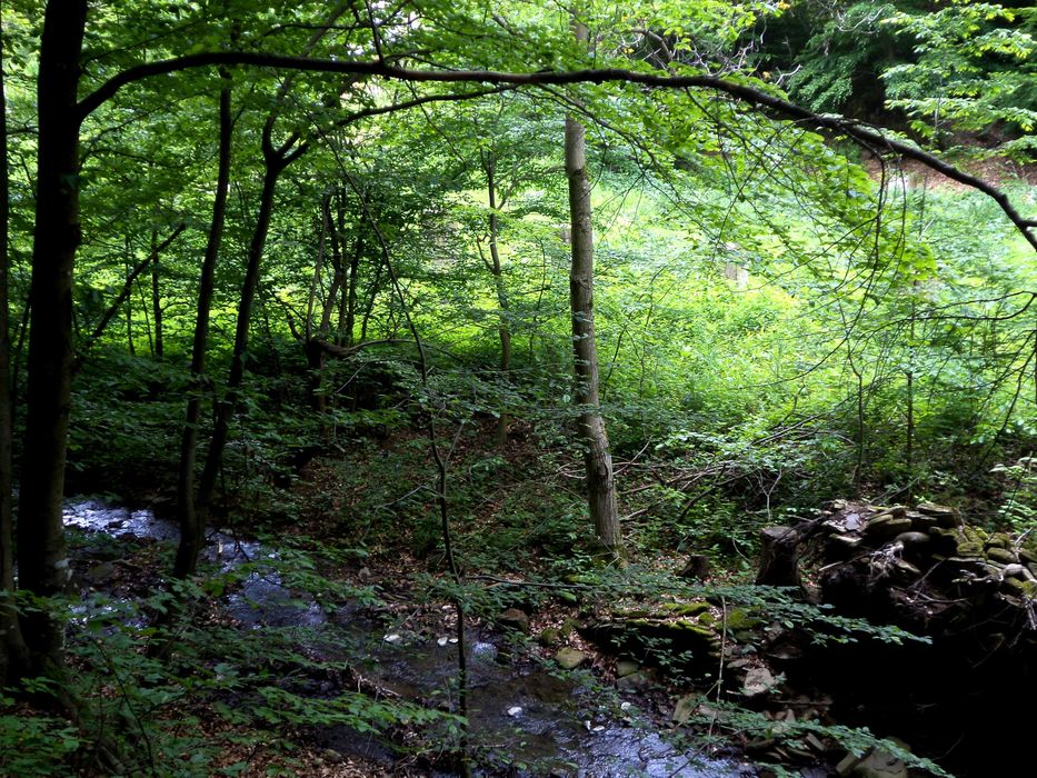 Продава се Къща в с. Бойновци, Област Габрово - 500 кв.м за 37 €/кв.м - Снимка #4